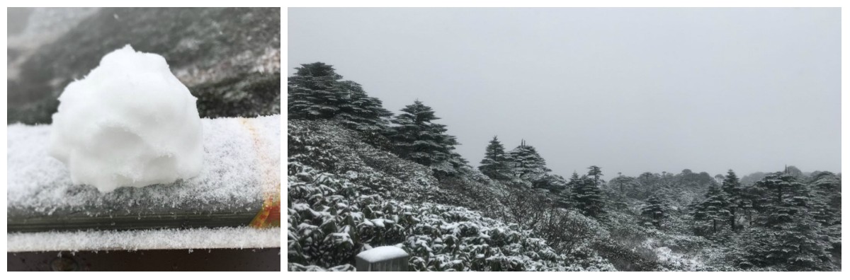 風(fēng)花雪月瑞方情，萬水千山大理行 第6張